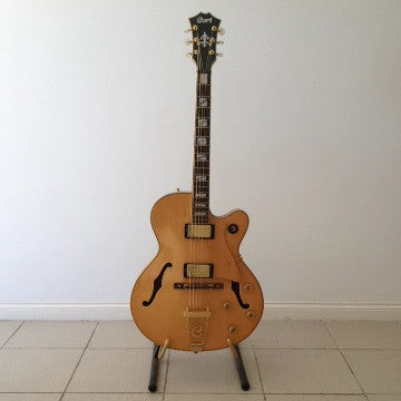 arch top steel string guitar